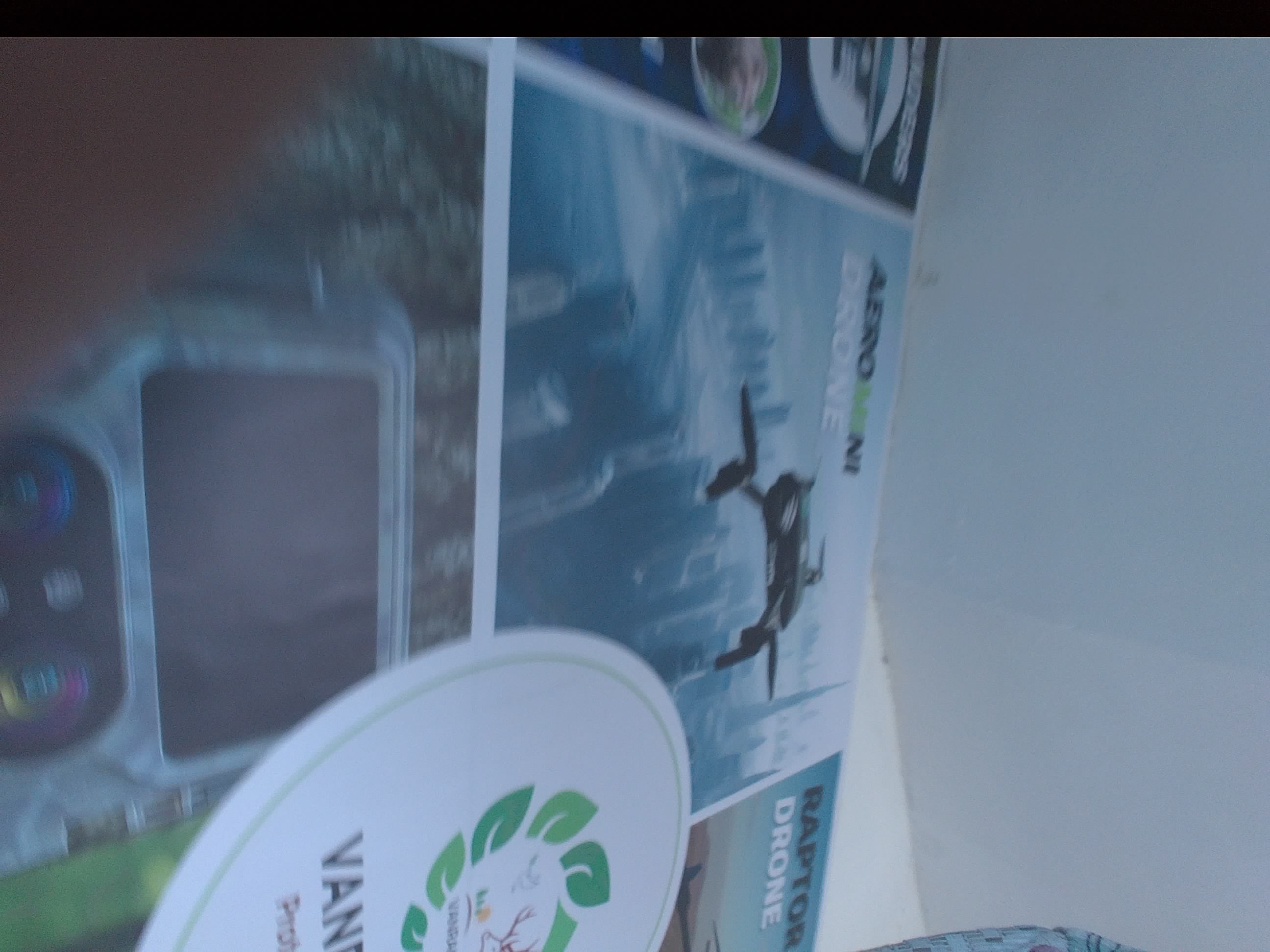 Forest monitoring image