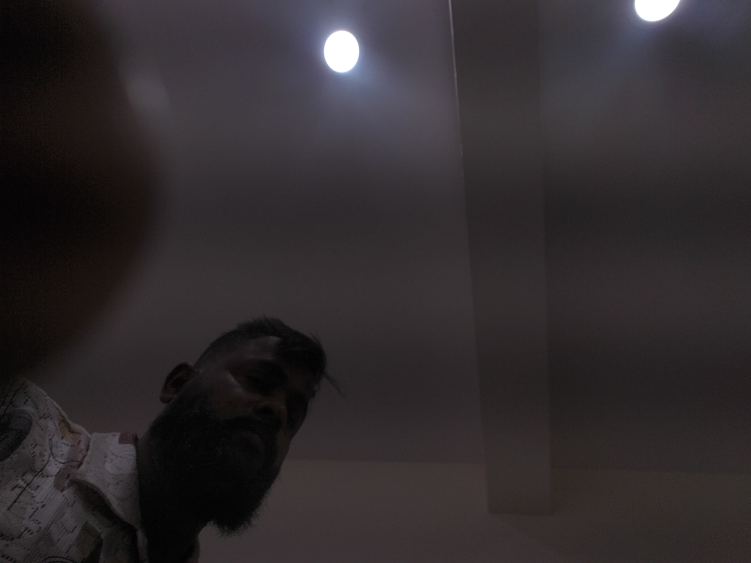 Forest monitoring image