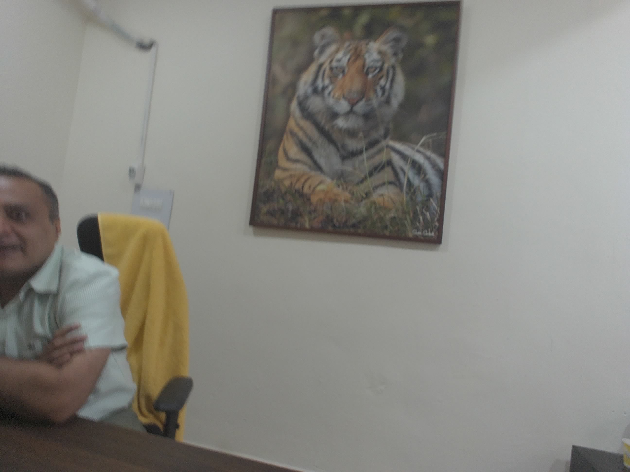 Forest monitoring image