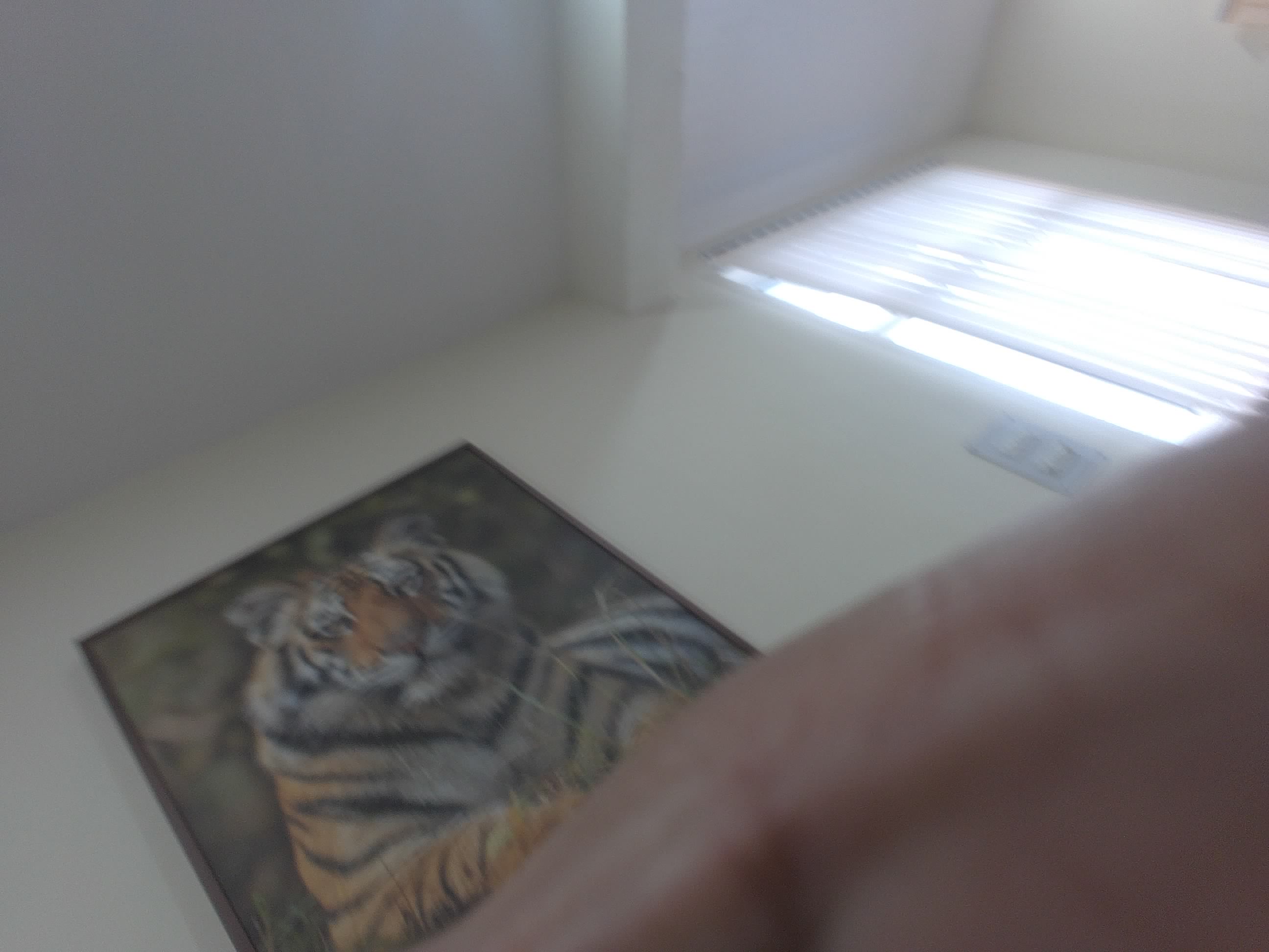 Forest monitoring image