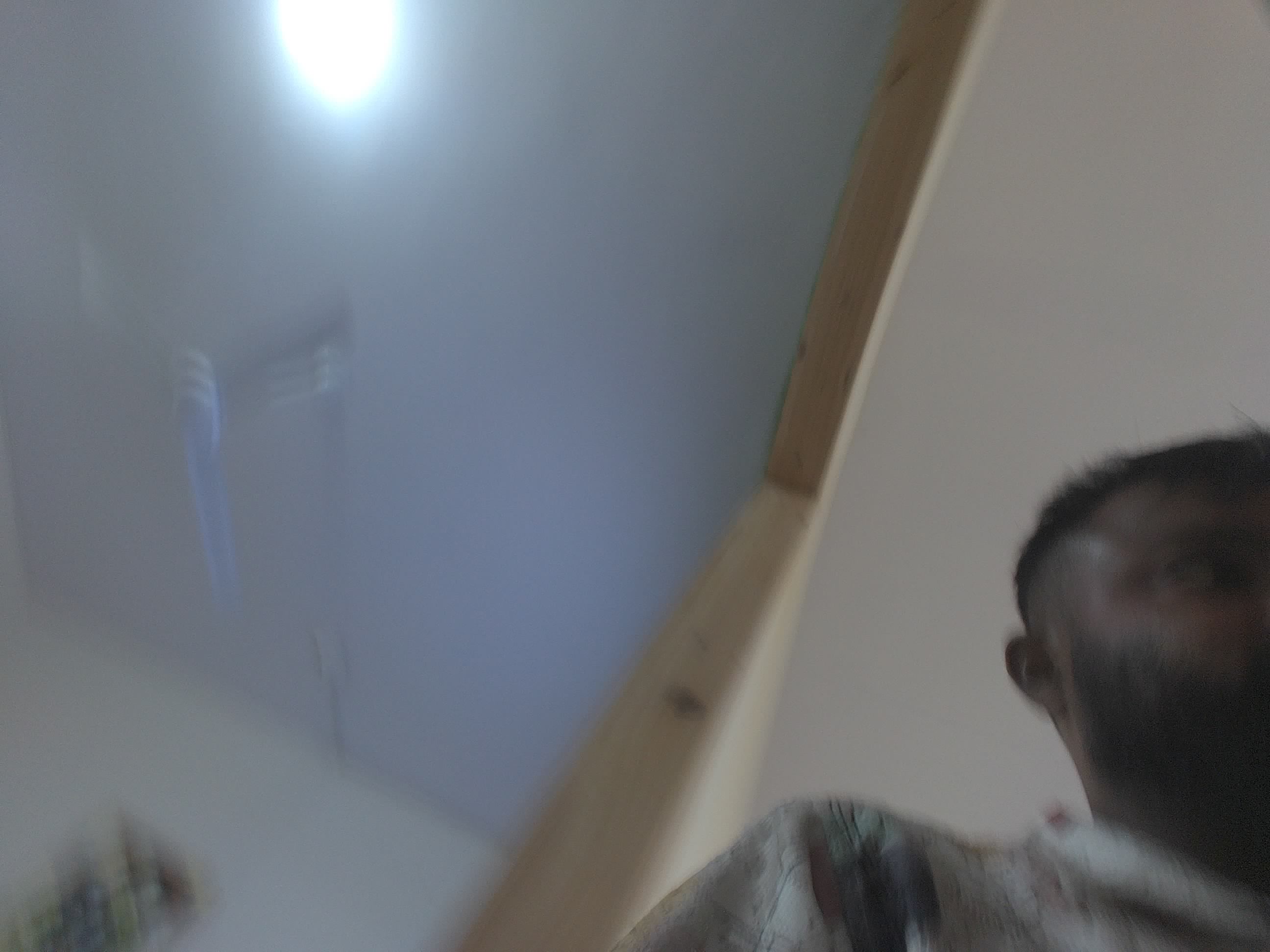 Forest monitoring image