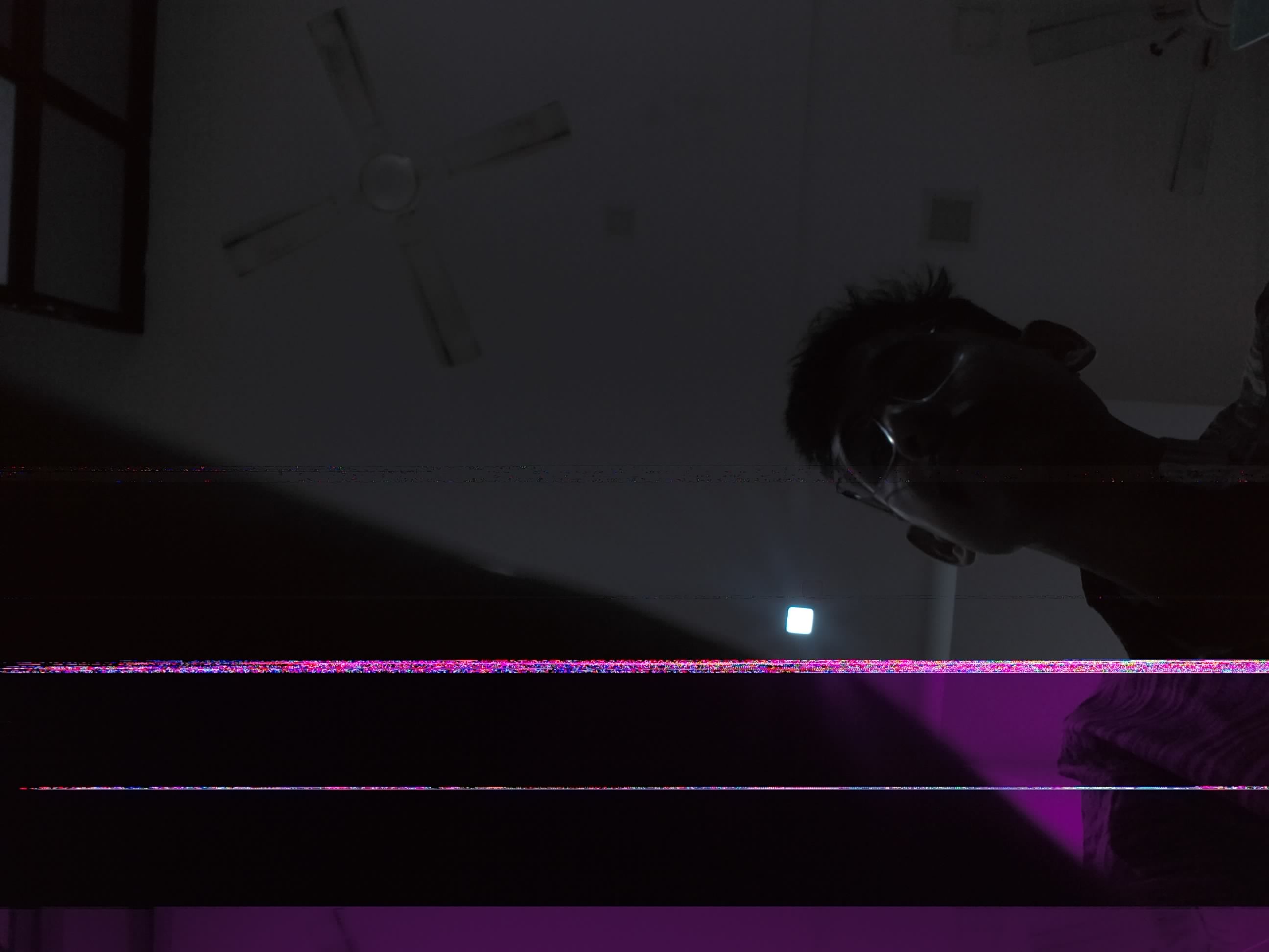 Forest monitoring image