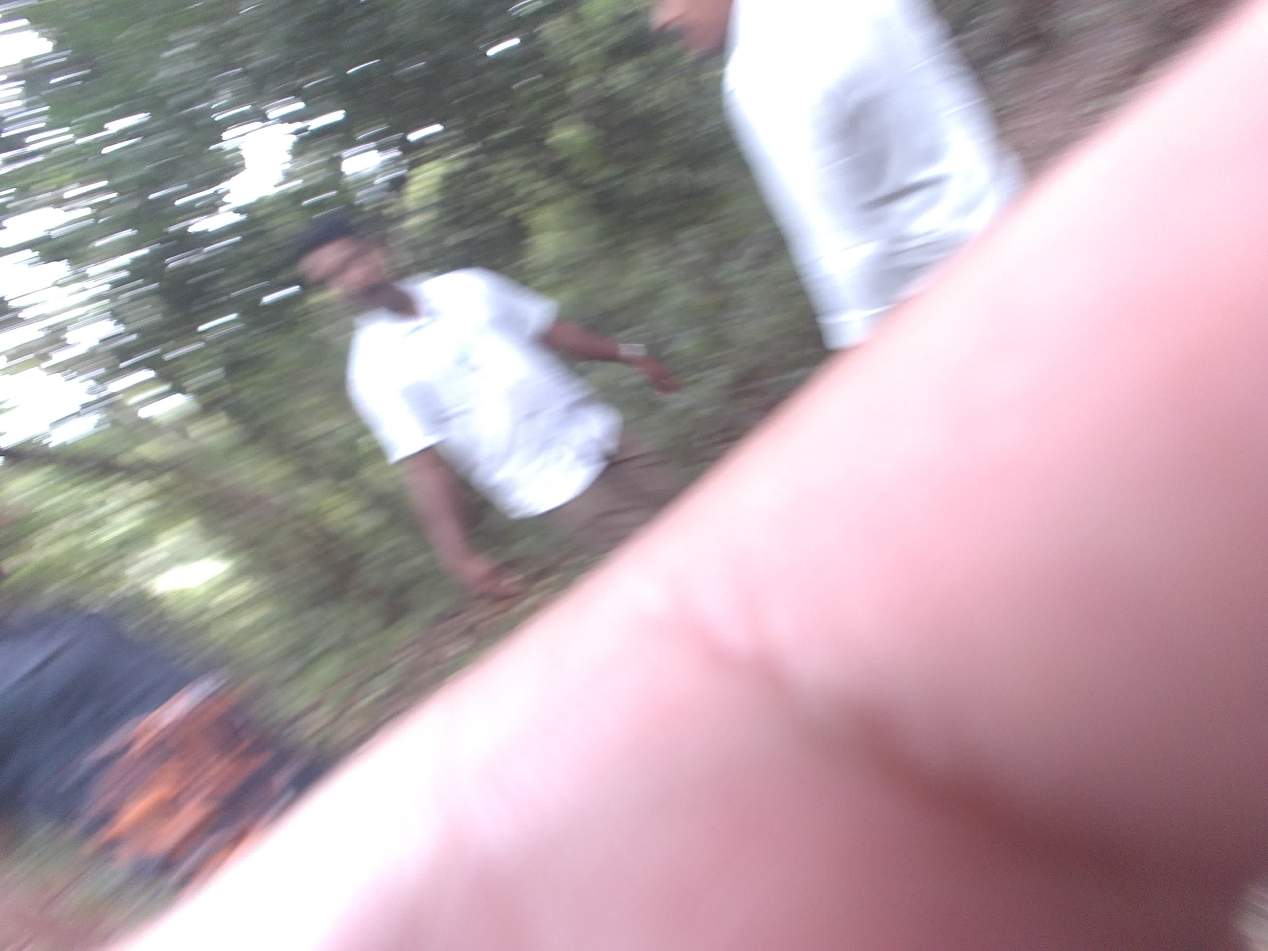 Forest monitoring image