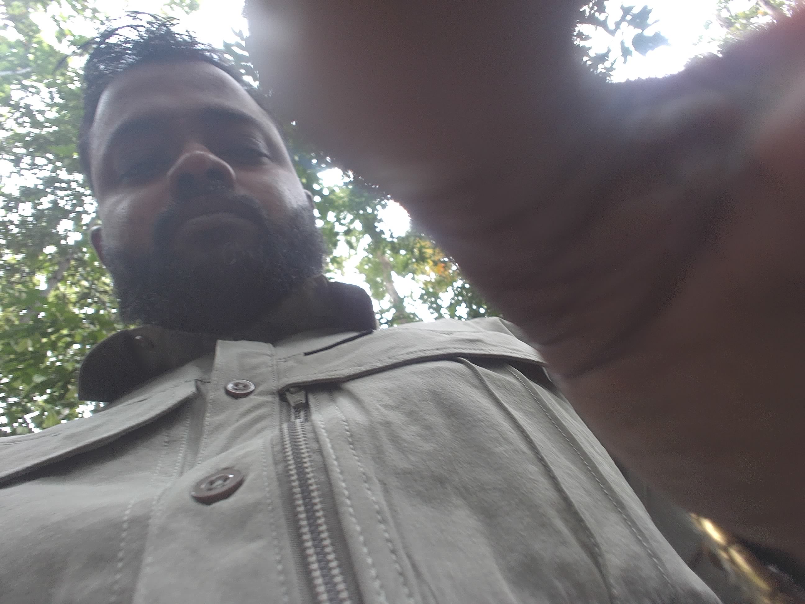 Forest monitoring image