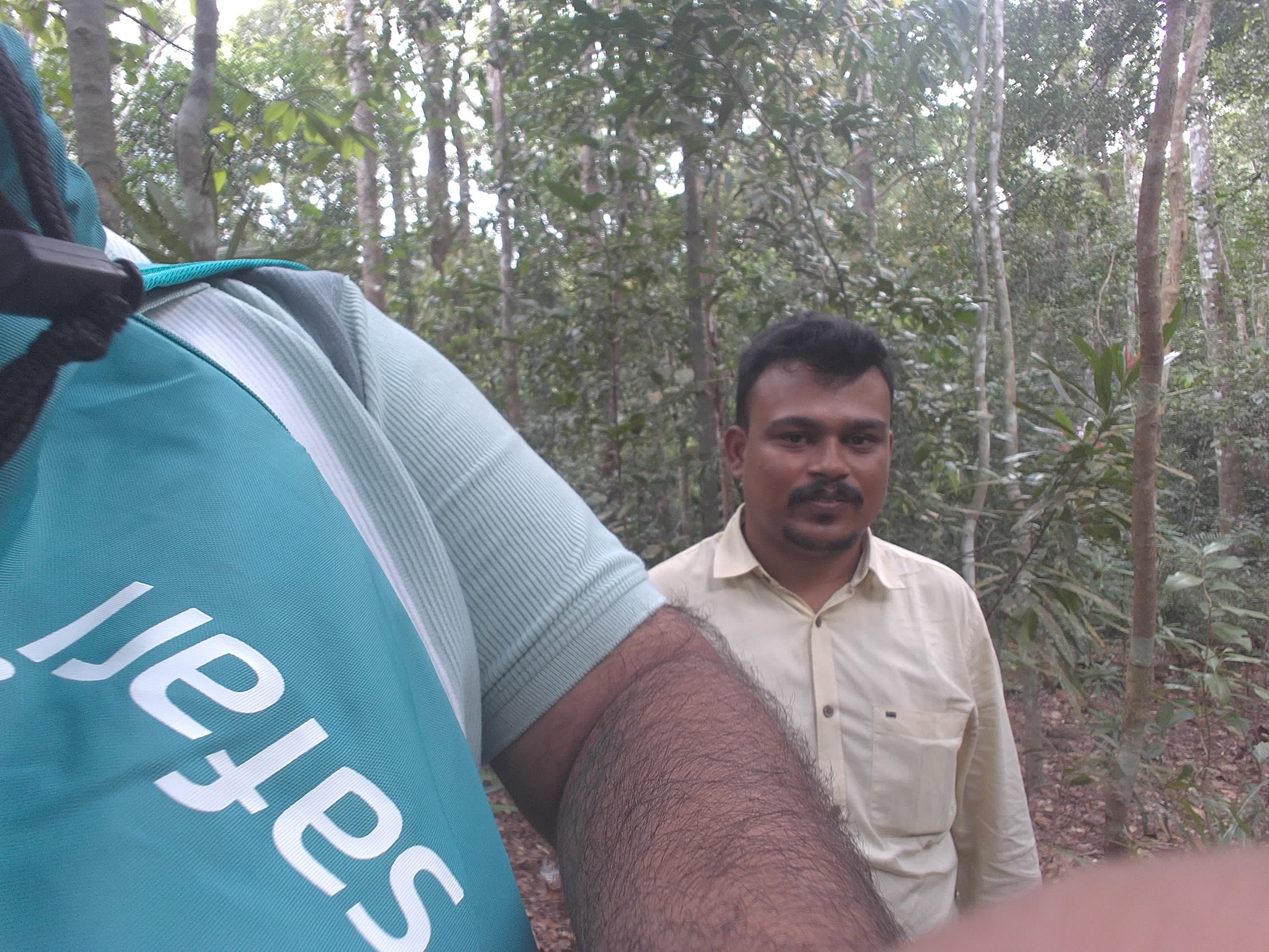 Forest monitoring image