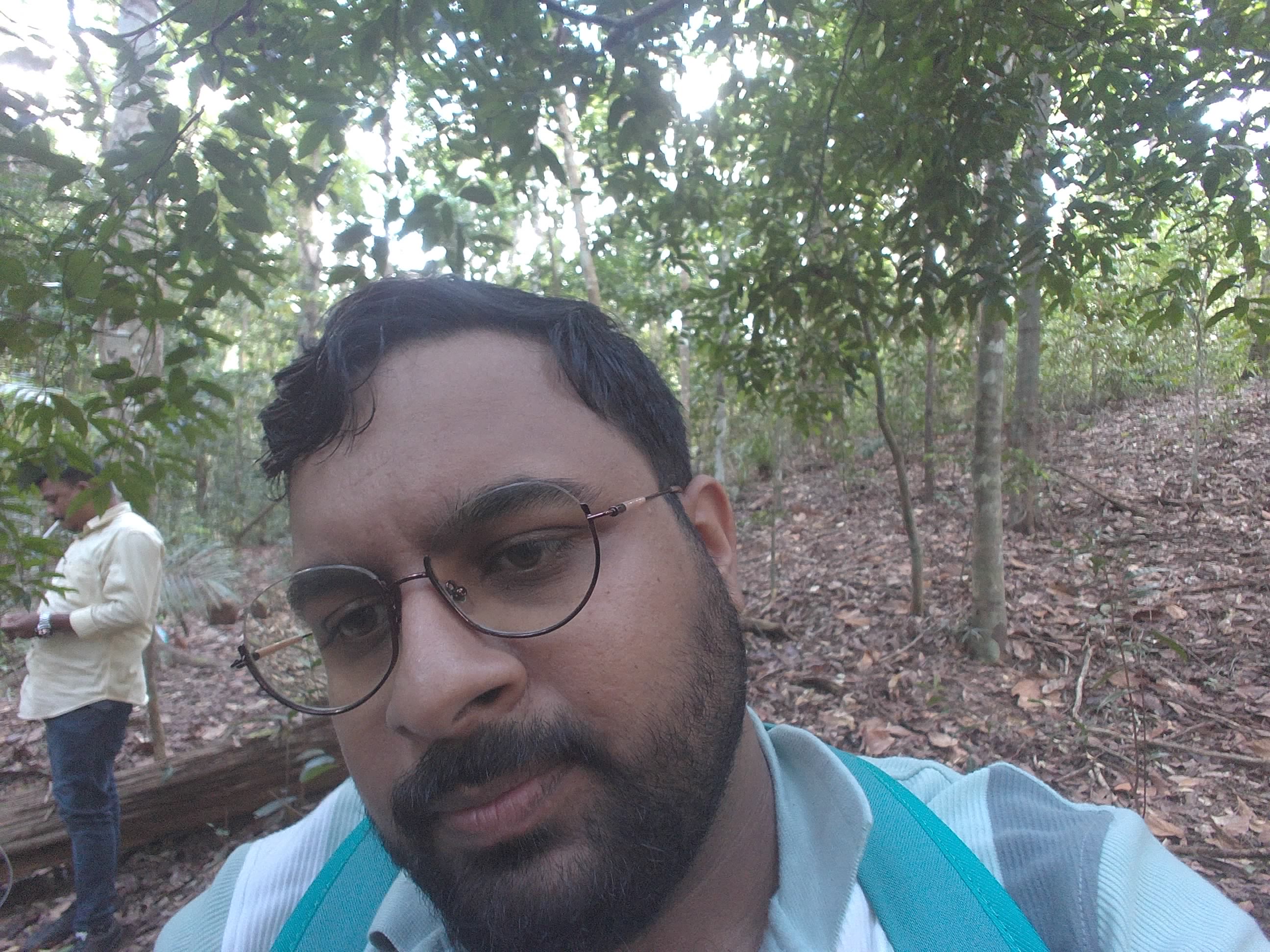 Forest monitoring image