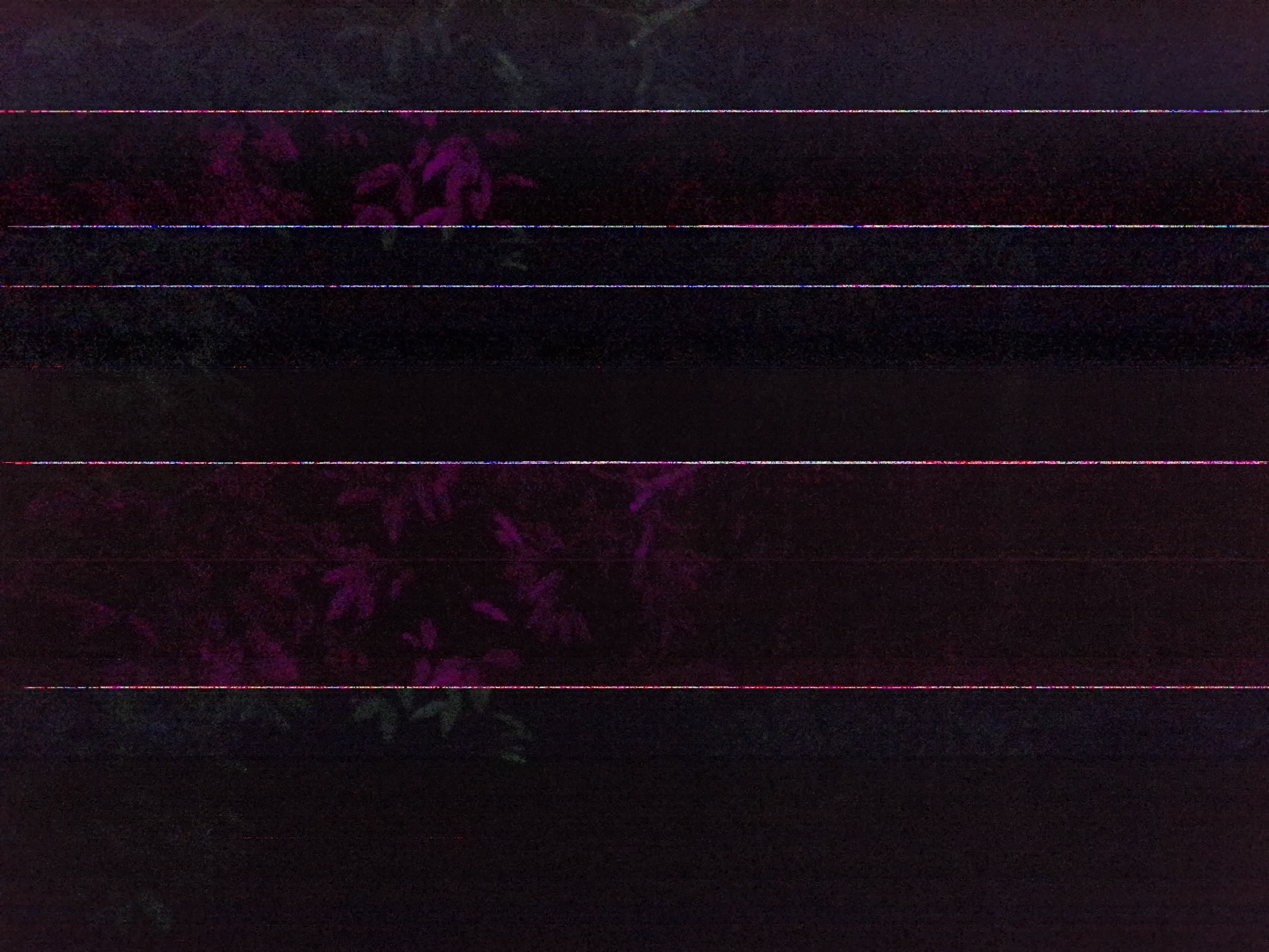 Forest monitoring image