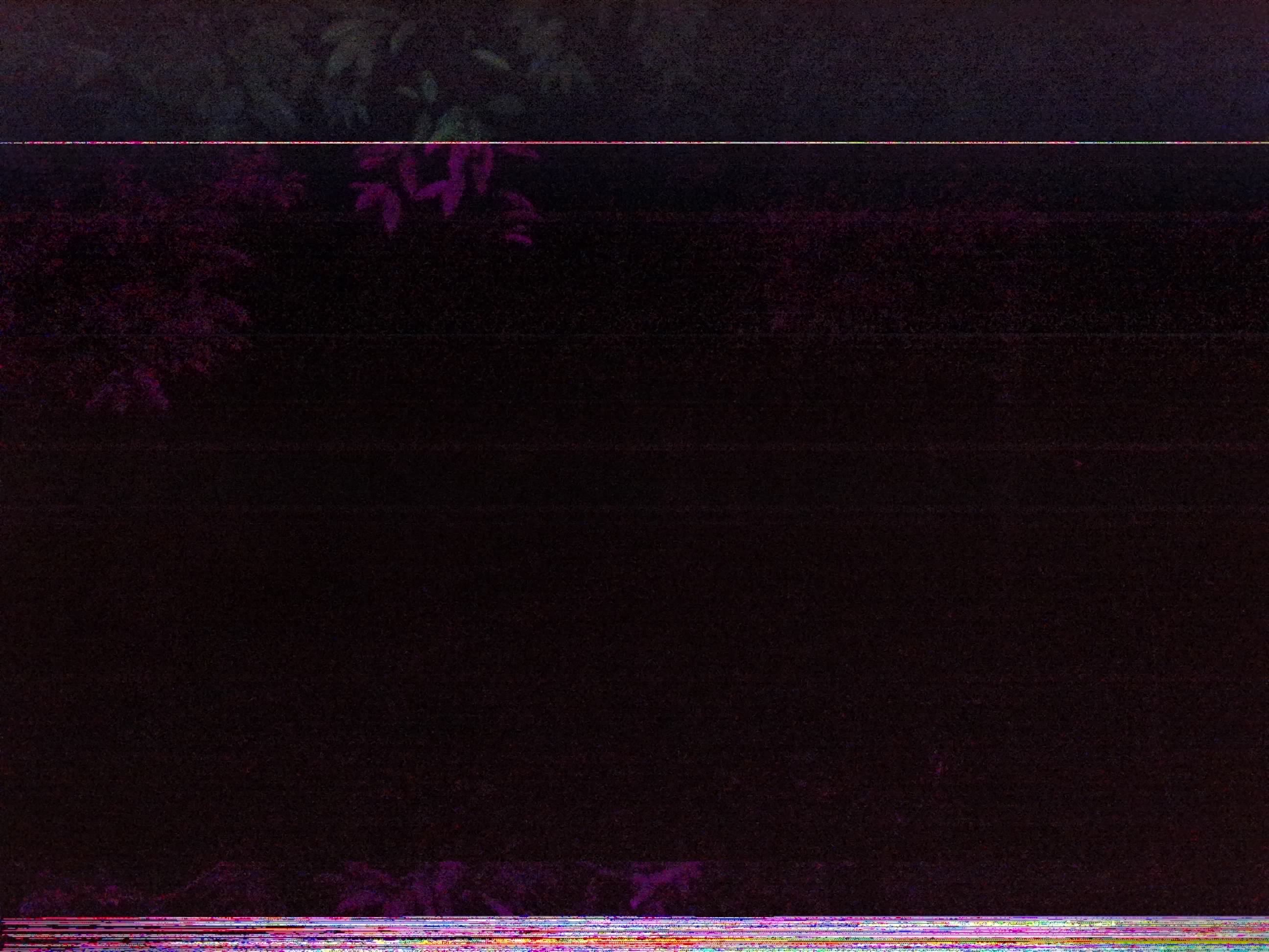 Forest monitoring image