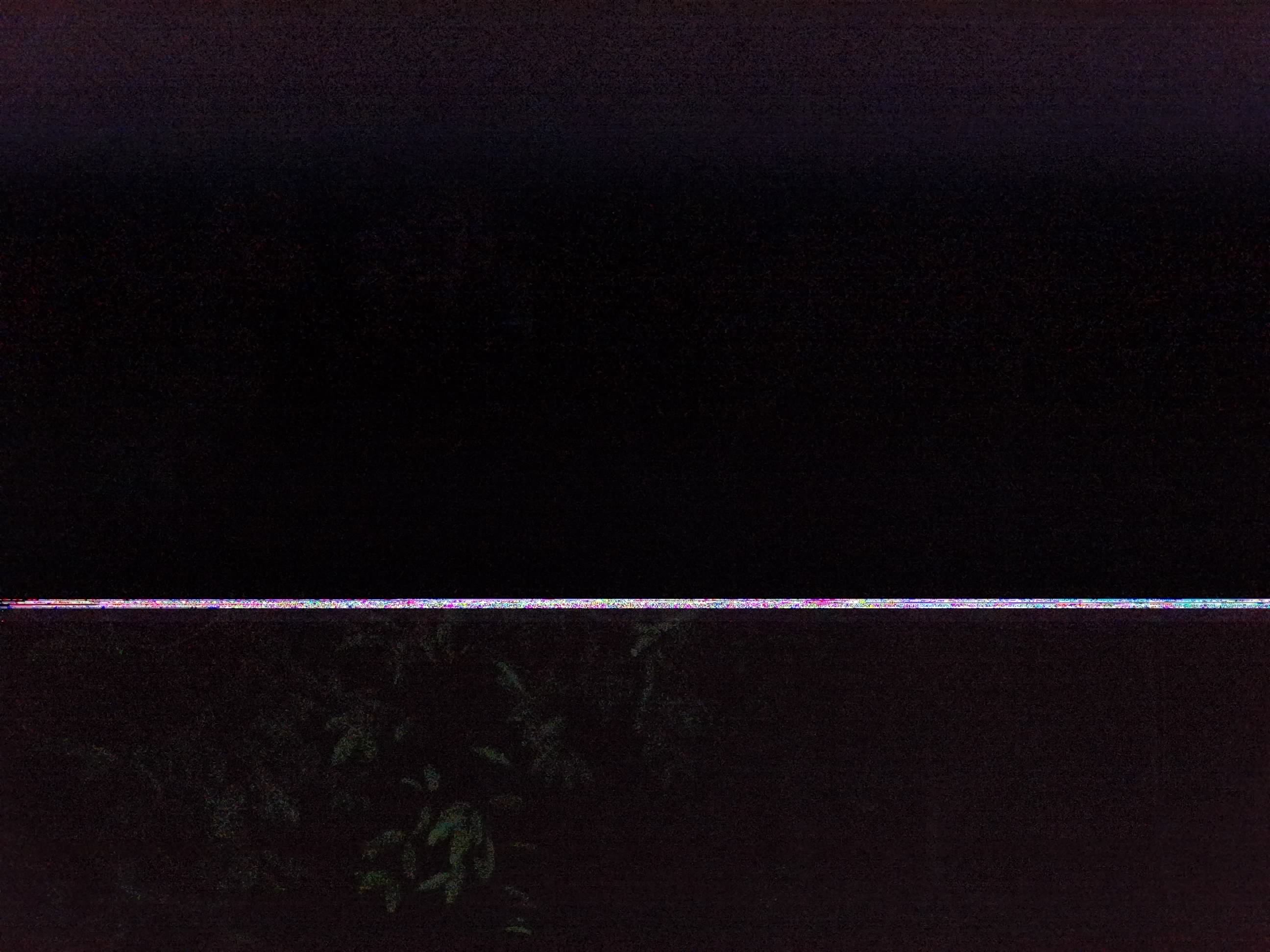 Forest monitoring image