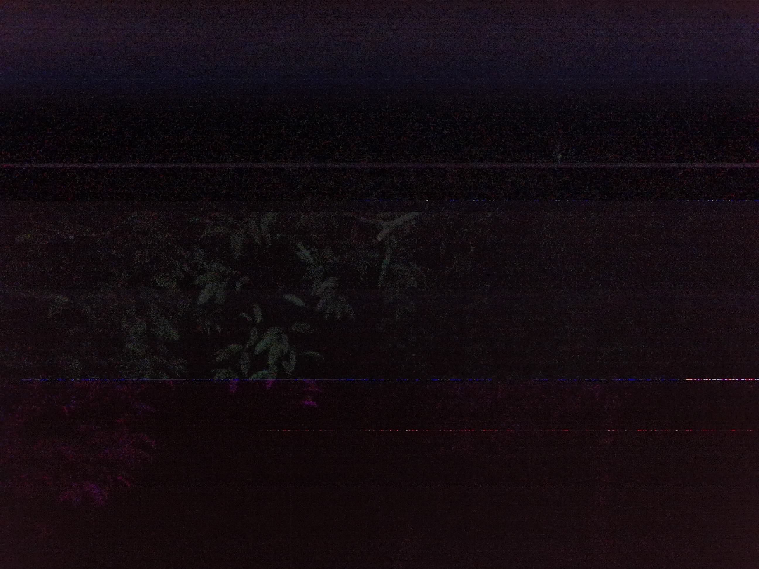 Forest monitoring image