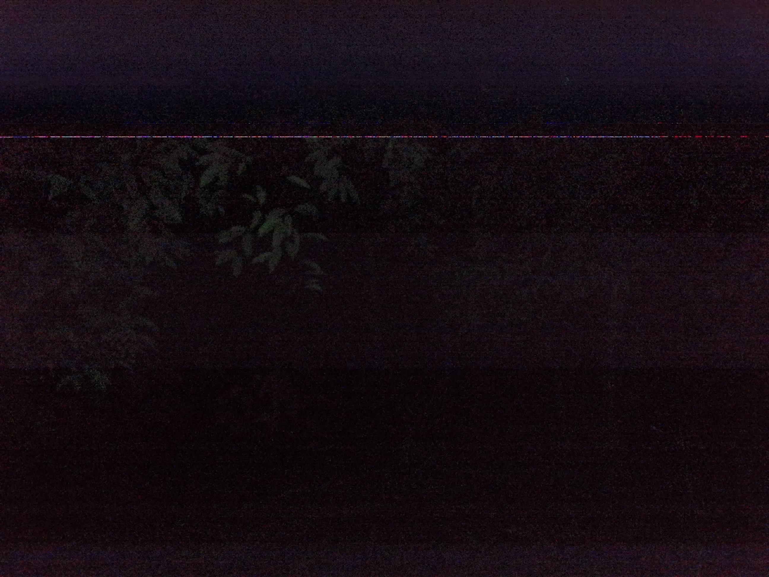 Forest monitoring image