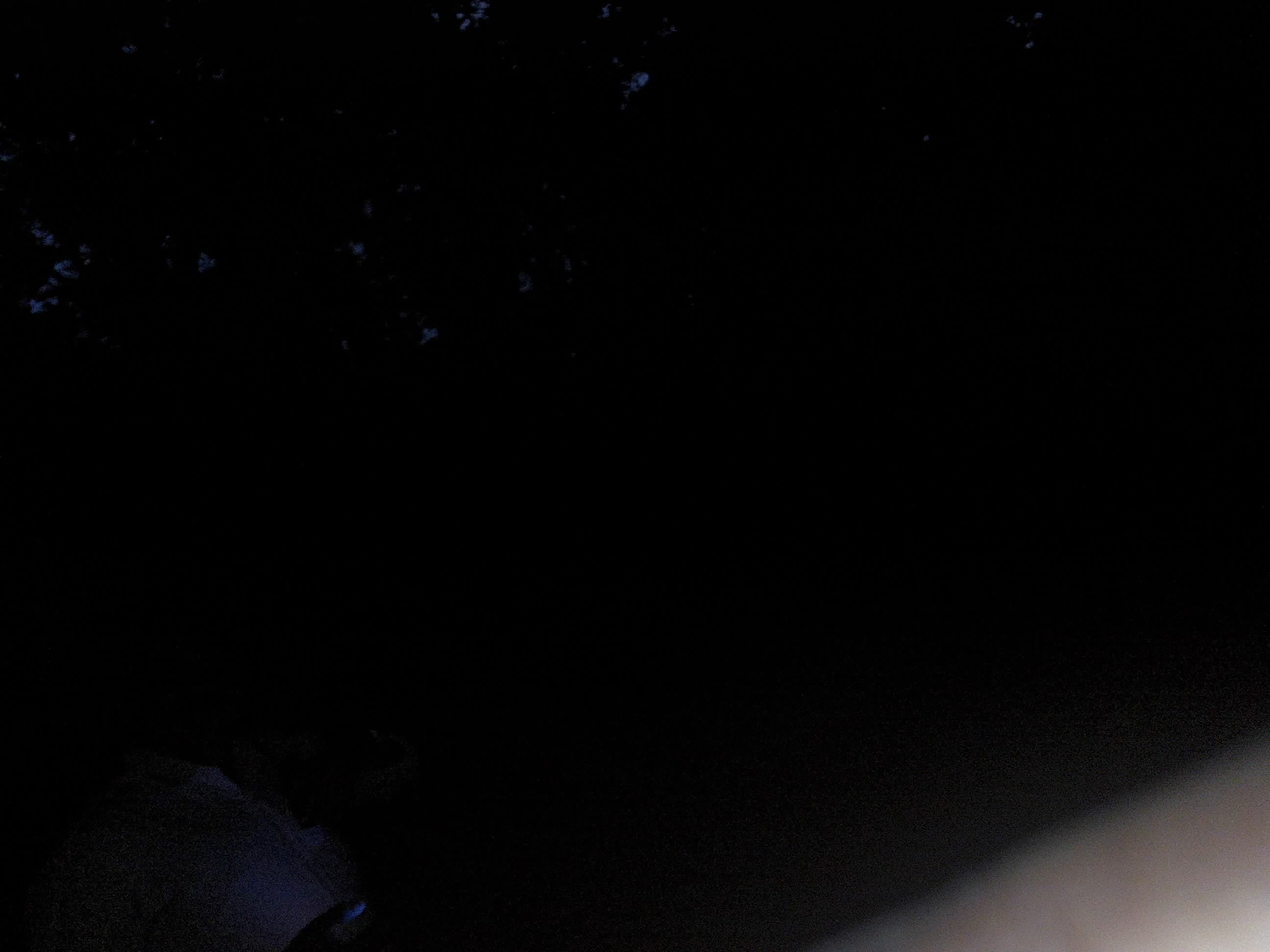 Forest monitoring image