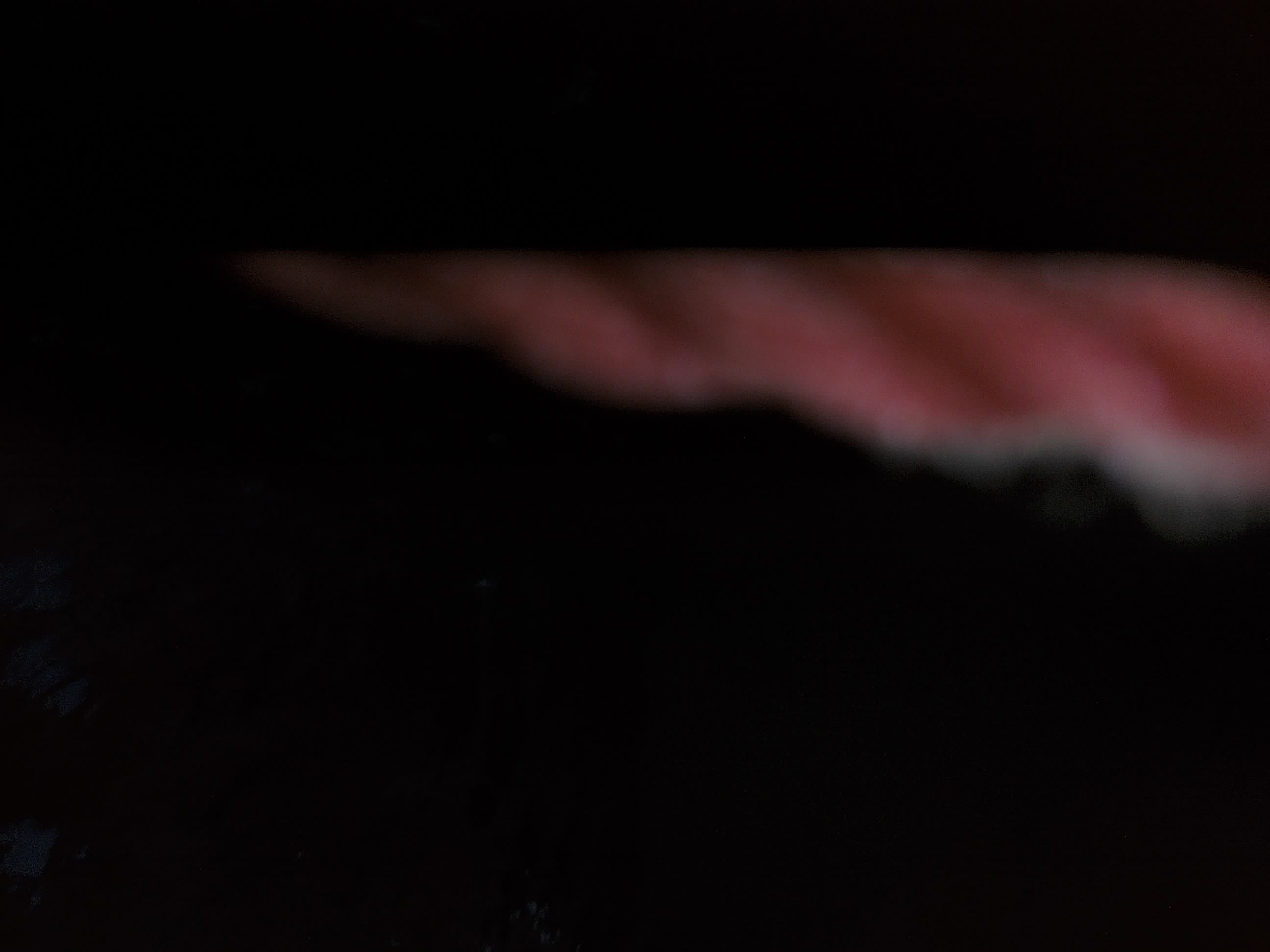 Forest monitoring image